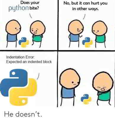Best Python Memes に対する画像結果