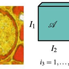 Tensor vs Matrix に対する画像結果