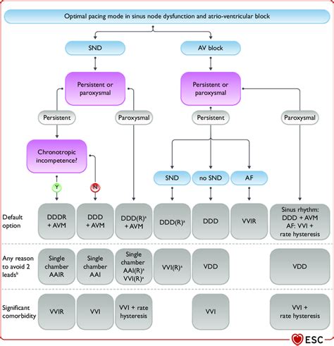Image result for Als Algorithm Heart Block