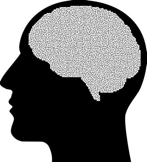 Brain Vector Drawing PNG に対する画像結果