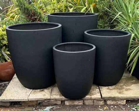 Poly Resin Python に対する画像結果