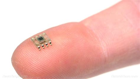 Image result for Mini Microchip