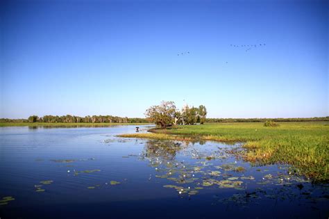 Afbeeldingsresultaten voor Classification Scheme in Organisation