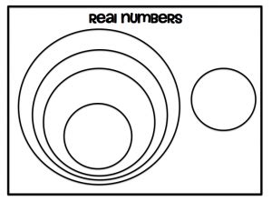 Image result for Organizing the Real Numbers