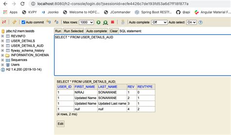 Image result for Spring Data Envers