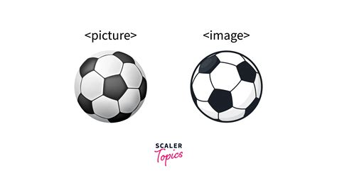 Image result for Bsic HTML Tag Image