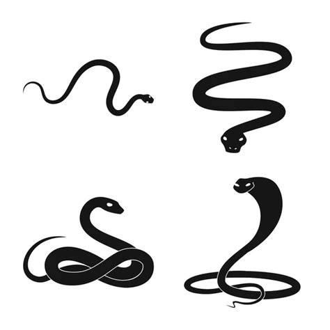 Afbeeldingsresultaten voor Coiled Python Outline