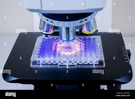 Microscope Plate に対する画像結果