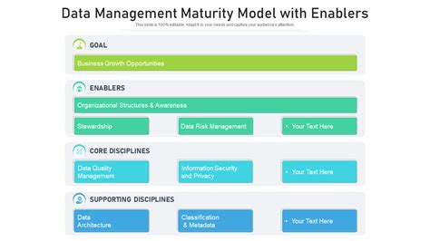 Image result for Data Maturity Model HHS