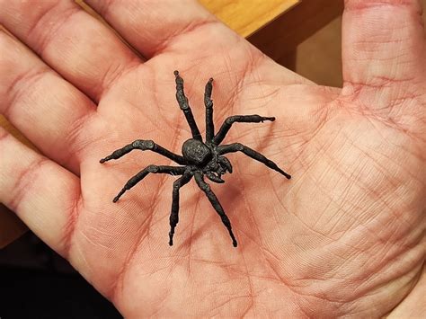 Afbeeldingsresultaten voor Realistic Spider Print