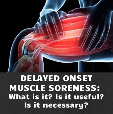 Delayed Onset Muscle Soreness に対する画像結果