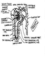 Toradh íomhá ar Handwritten Tutorials PDF
