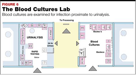 Toradh íomhá ar Basic Microbiology Lab Layout
