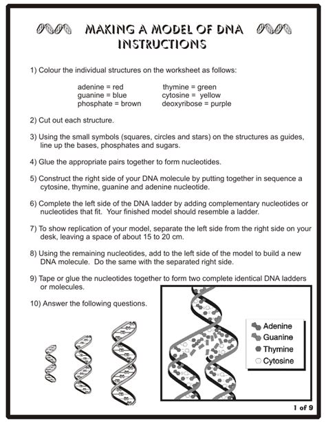 Image result for DNA Model Worksheet