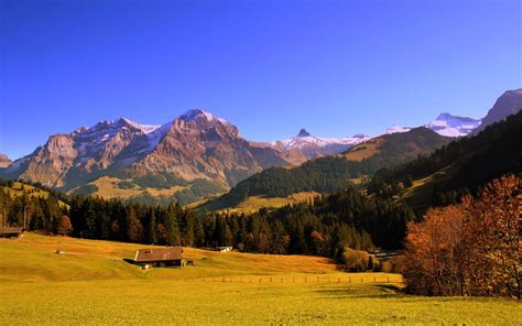 Image result for High Resolution Computer Wallpaper