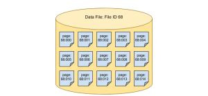 What Datatype File Is Used in Database に対する画像結果