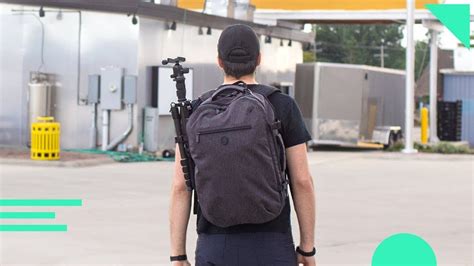 Image result for Tortuga Set Out