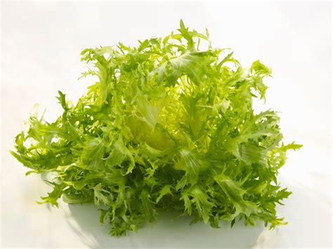 Image result for Endive Frisee