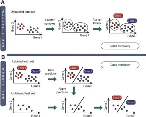 Image result for Unsupervised Classification Clustering