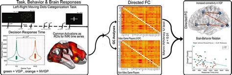 Memory Task in Video Games に対する画像結果
