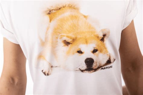 Toradh íomhá ar Arduino Maikuro