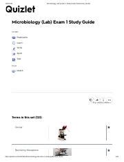 Toradh íomhá ar Microbiology Lab Exam One
