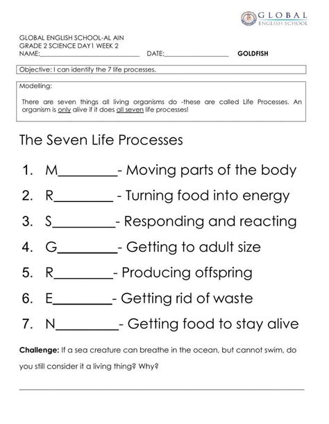Image result for 7 Life Processes Worksheet