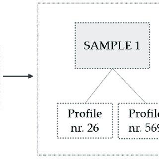 Toradh íomhá ar Example of Randomization in Research