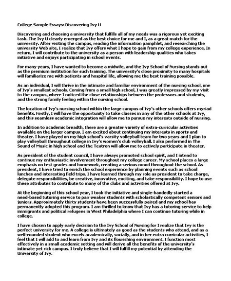 Image result for Examples of Good Essays