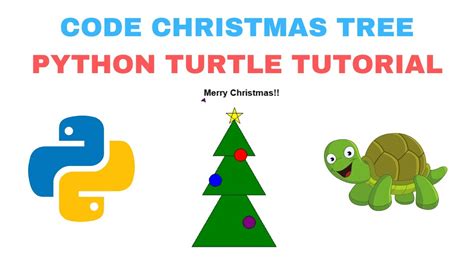 Image result for How to Start Turtle Python Code