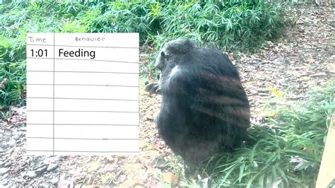 Afbeeldingsresultaten voor Animal Sampling Methods