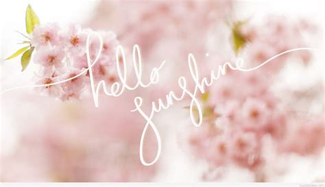 Image result for Hello Spring Desktop