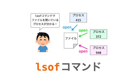 Lsof に対する画像結果