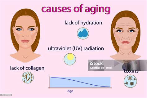 Chart of Causes of Aging に対する画像結果