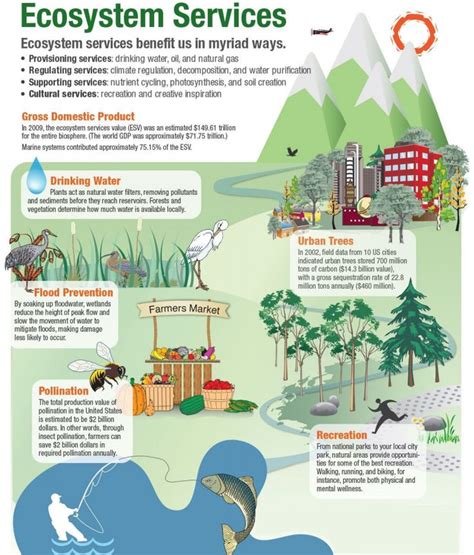 Environmental Interaction Graph に対する画像結果