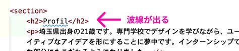 vs Code.html Lang に対する画像結果