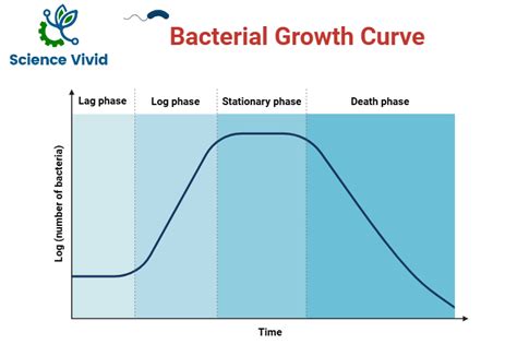 Toradh íomhá ar Growth Courve