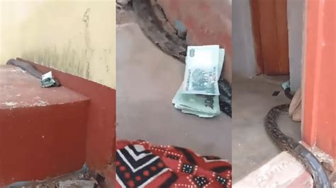 Image result for How to Stealing Money Use Python