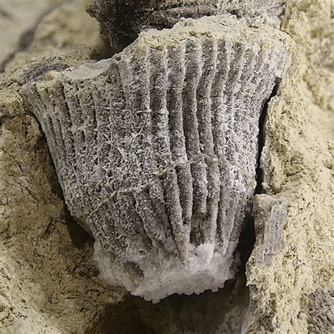 Periclase Chemical Formula に対する画像結果