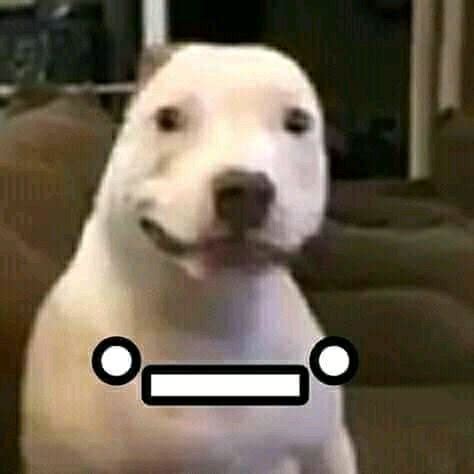 Image result for Who Made the XD Meme