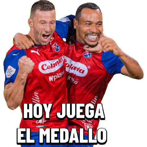 Toradh íomhá ar FedEx Dim Sticker