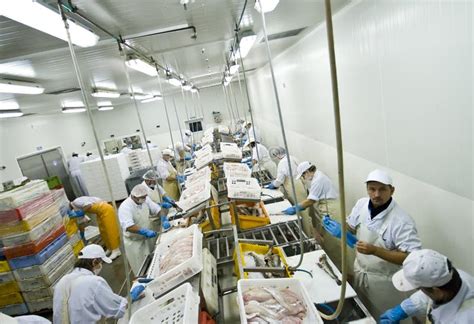Image result for Fish Processing Center