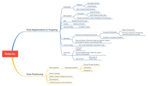 Behavioral Segmentation Tesla に対する画像結果