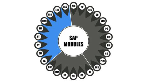 Image result for SAP Agenda Module