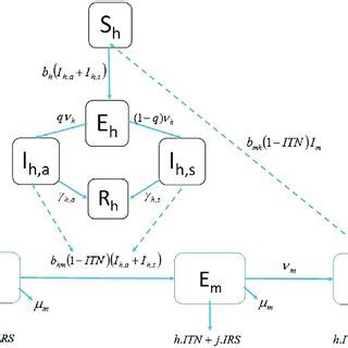 Image result for Human Flow Simulation