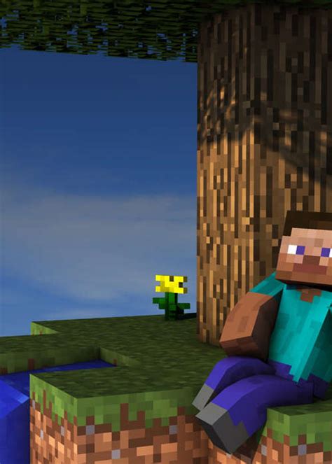 Image result for Minecraft Fun Library