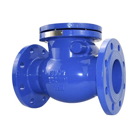 Toradh íomhá ar Spring Loaded Flapper Valve