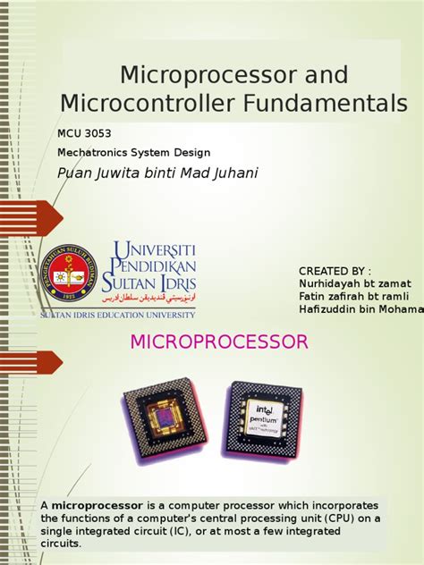 Image result for Microprocessor Protarit