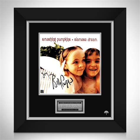 Image result for Smashing Pumpkins Siamese Dream