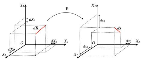 Image result for Displacement Gradient Tensor